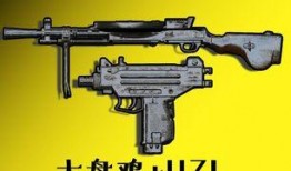 和平精英枪最新爆料,神秘性能引发热议，玩家期待度飙升